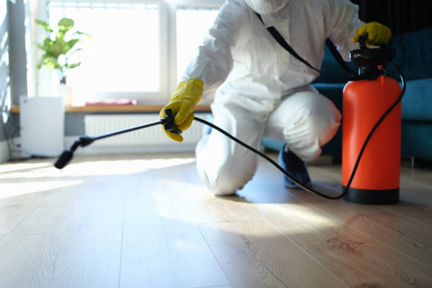 Reliable Infectious Disease Decontamination contractor in Pine Mountain Club, CA by Crime Scene Cleaner Online